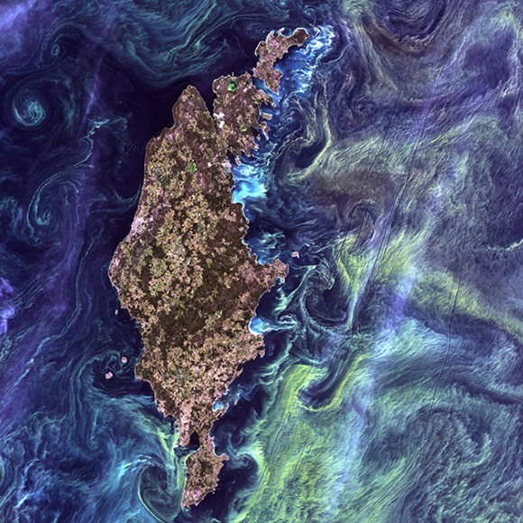 1. helyezés: Van Gogh from Space Landsat 7 (2005)