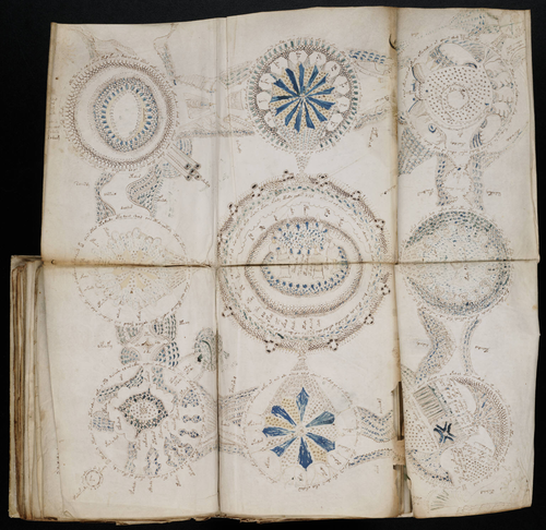 Térképnek tűnik - Voynich-kézirat, 156. oldal