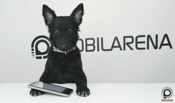 Az egyik kutya a másik eb: A Doogee X5 Max Pro Csutka kezében pihen