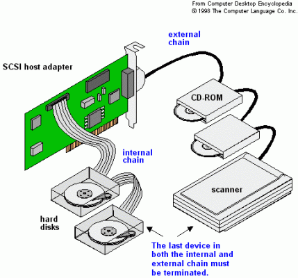 Láncba fűzött SCSI eszközök (Kép forrása: Computer Desktop Encyclopedia)