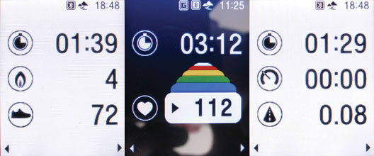 Samsung F110