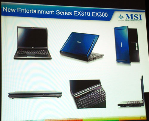 MSI EX300