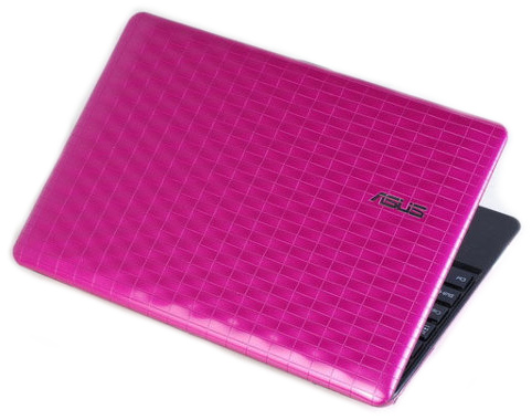 Asus EeePC 1008P