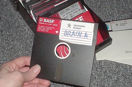brain