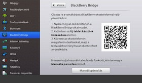 BlackBerry Bridge