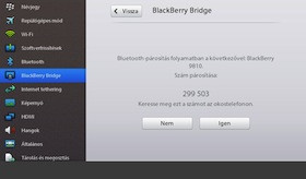 BlackBerry Bridge