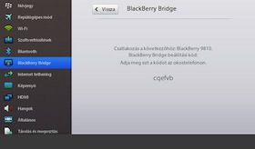 BlackBerry Bridge
