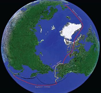 arctic link