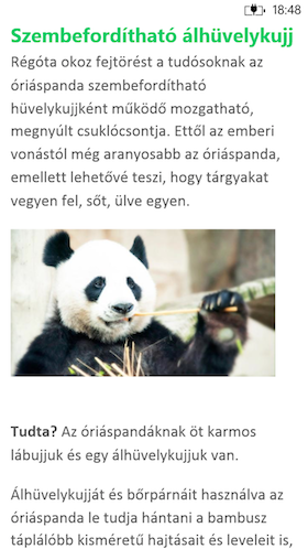 Office Windows Phone 8 alatt