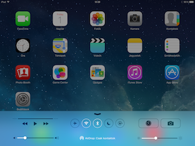 Apple iPad Air Screen Shot