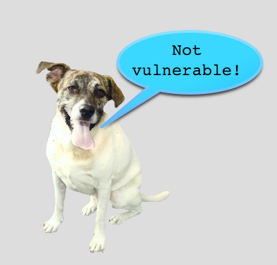 A Poodle SSL-hiba tesztoldala