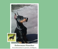 A gép igazából nem lát - a három kutyát összemosta, de a képet feldarabolva helyes válaszokat adott