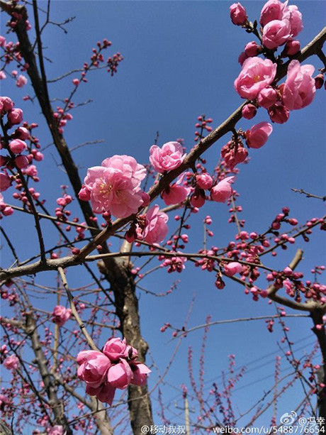 A fotó a LeEco Le 2 hátlapi kamerájával készült