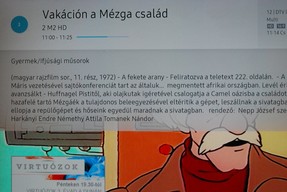 Samsung QE65Q7F - DTV szolgáltatások