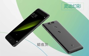 A hagyományosabb vonalat a fekete és fehér/arany változatok képviselik