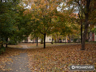 20mm / 1/100s / f4 / ISO 200