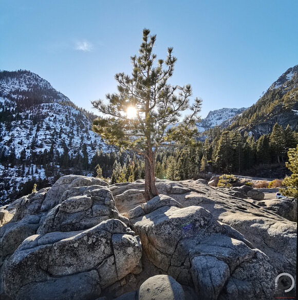 Sziklák, fenyők és hó Lake Tahoe mellett
