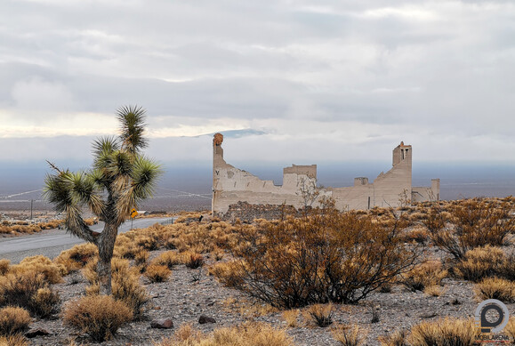 Nem sok maradt Rhyolite szellemvárosából, a területet kecskék uralják