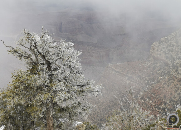 Ködös arcát is megmutatta nekünk a Grand Canyon a Grandview Point kilátóhelyen
