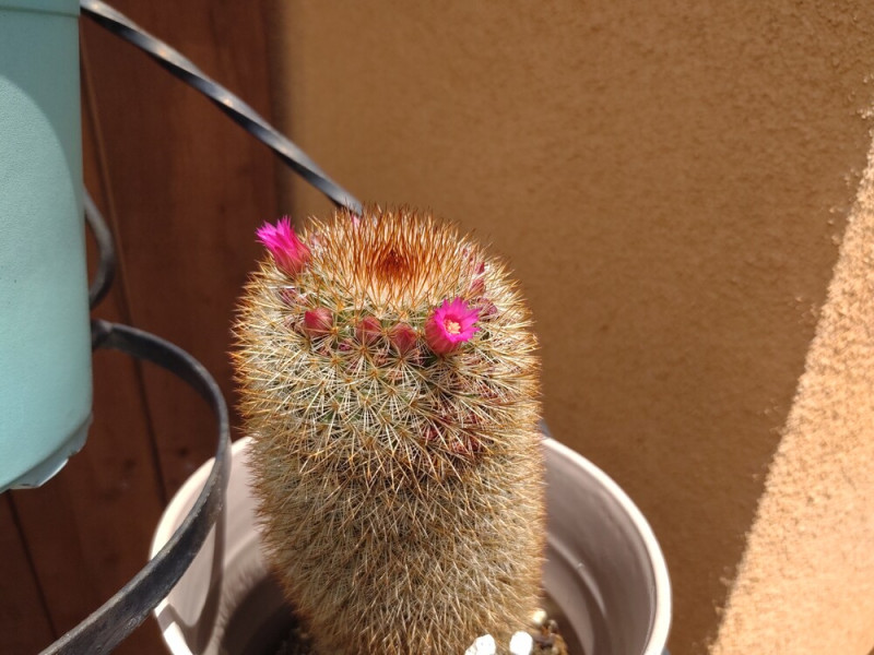 Moto Z4 kameraképek. A galéria megnyitásához kattints a fotóra!