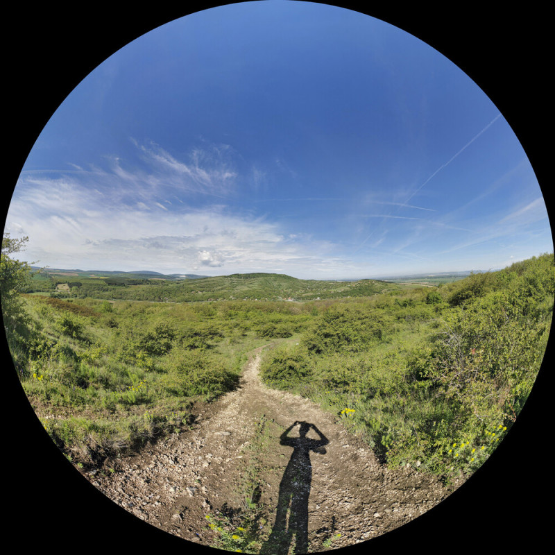 Halszemoptika mód, szintén a Google Camerával