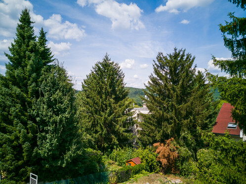 Feldolgozatlan és telefonon feldolgozott nyersfájl