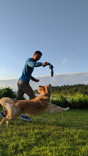 Akad pár ellenfényes és gyorsan mozgó példa is, az algoritmus ezekkel is megbirkózik