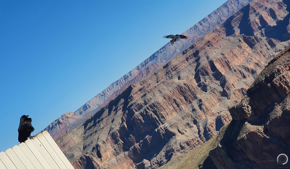 Így köröznek a lóvénk felett is az indiánok a Grand Canyon Westnél