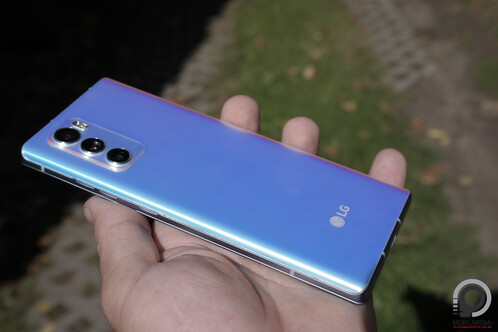 Egészen zöldes és nagyon lila is tud lenni a hátlap napfény alatt