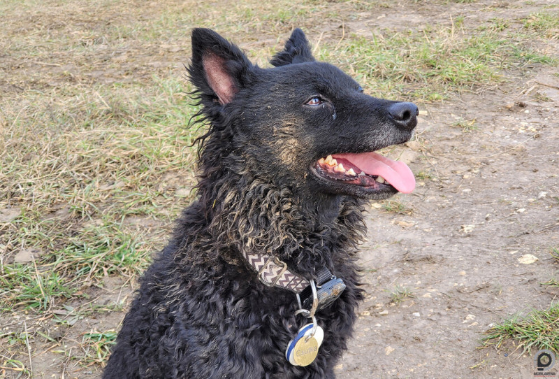 Mi így sétálunk, oké?