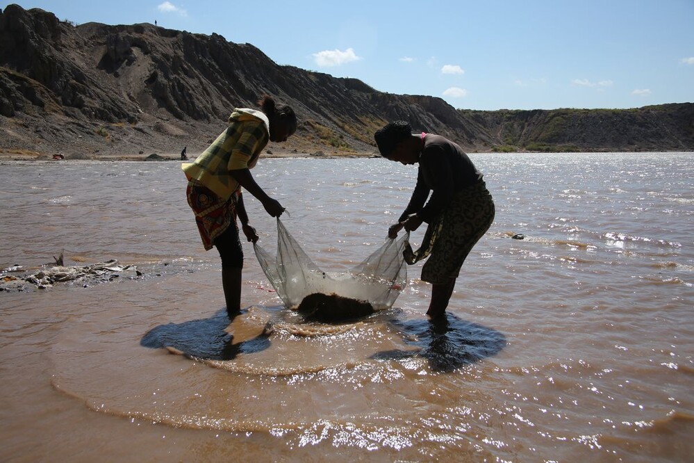 Kobalttermelés Afrikában