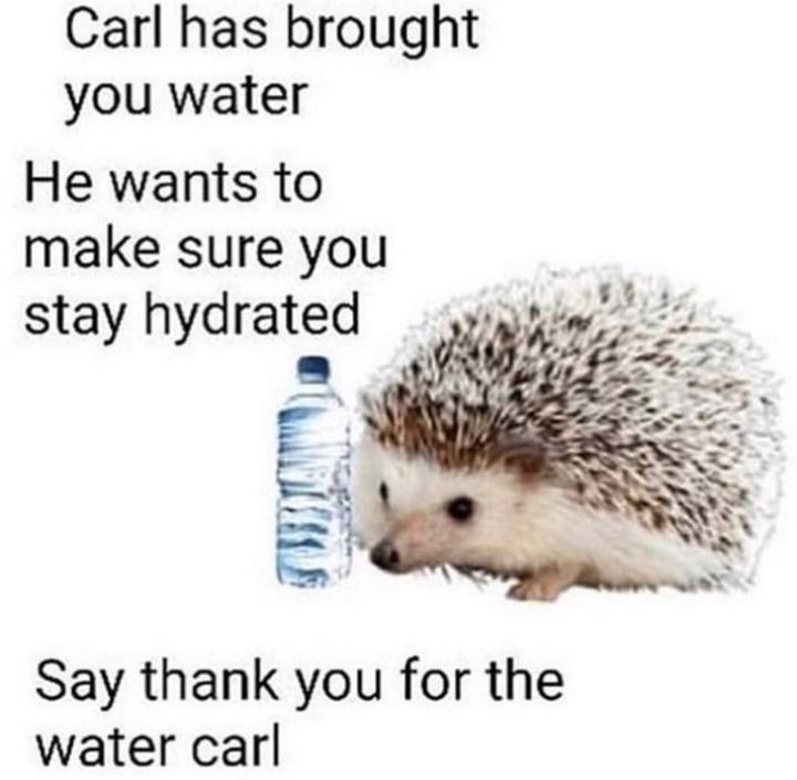 Vannak, akik azt mondják, hogy napi 3,5 liter folyadékot kellene fogyasztani.