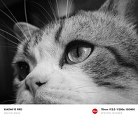 A Xiaomi által közzétett, állítólag a 13-as mobillal készített fotók.