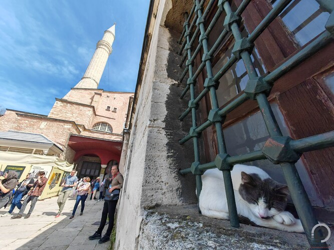 A város leghíresebb épülete pont tökéletes hely szundikáláshoz - gondolta ez a cicó