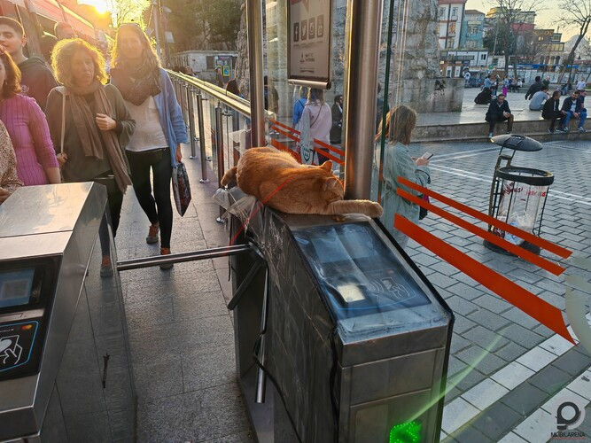 De lehet jókat aludni a beléptető kapun is, ahogy az ábra is mutatja
