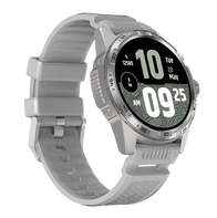 Az ezüst színű változat