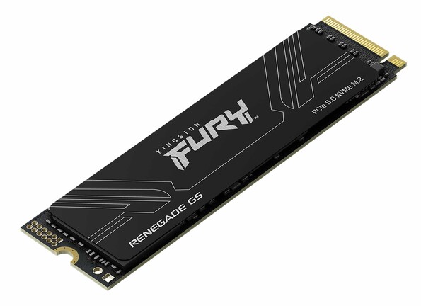 Kingston Fury Renegade G5