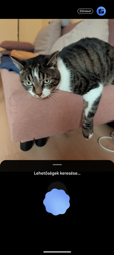 Kamerasegéd