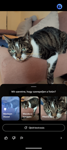 Kamerasegéd