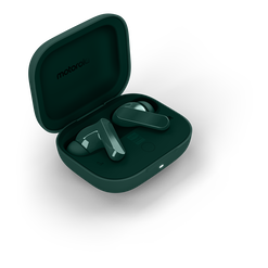 A fekete és zöld árnyalatok