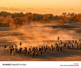 A Huawei által közzétett fotók, melyeket elvileg az új Mate-sorozat telefonjai készítettek