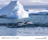 A Huawei által közzétett fotók, melyeket elvileg az új Mate-sorozat telefonjai készítettek