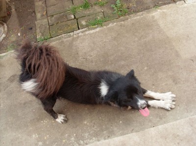 háromnegyedévesen_2