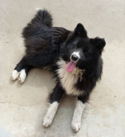 több mint egy évesen