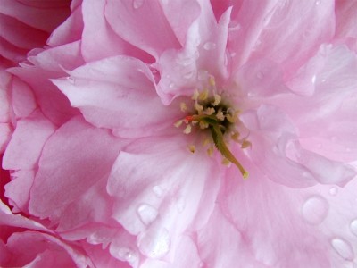 [L:http://www.youtube.com/watch?v=IciJV0j7jKU]PINK[/L]