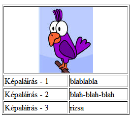 Táblázat