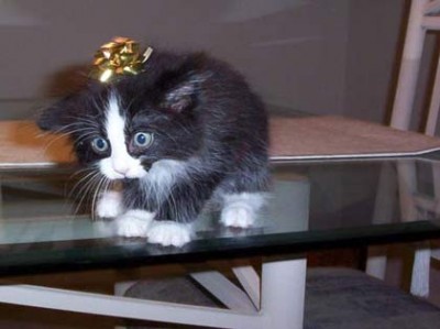 ivegotapresentforya
