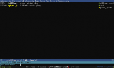 &bitlbee-n csevegés