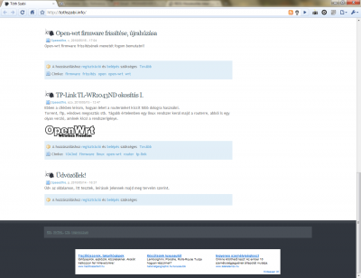 Chrome 4.1.249.1064 (45376)