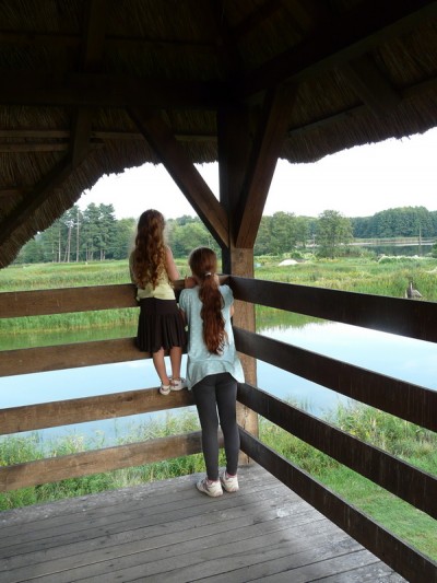 vidrapark